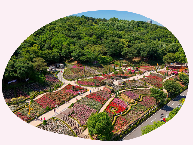 百万本のバラ園