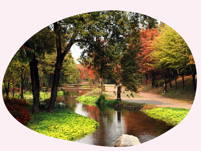 富川ドゥルレギル